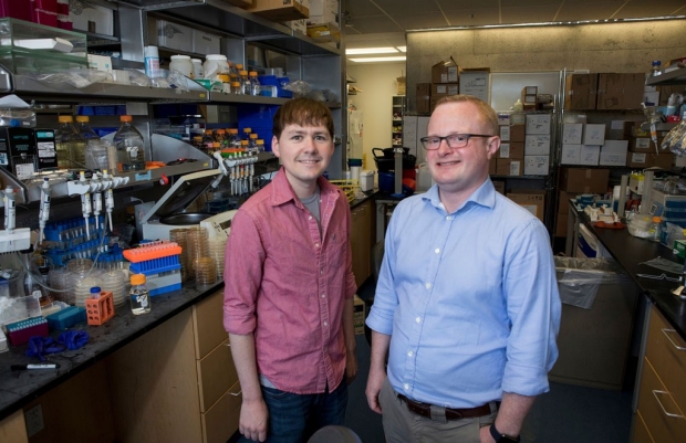  Prions can pass on beneficial traits, study finds