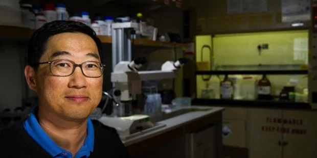 Seung Kim and his team were able to convert alpha cells from the pancreas into insulin-producing beta cells in mice. The findings may hold clues to developing treatments for diabetes. Steve Fisch