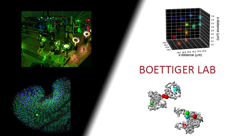 Boettiger Lab