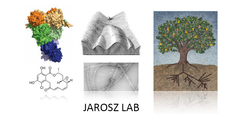 Jarosz Lab