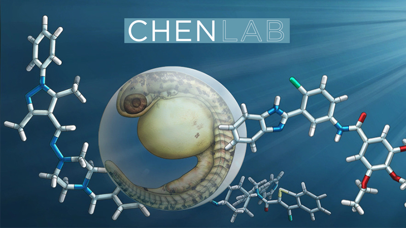 Chen Lab