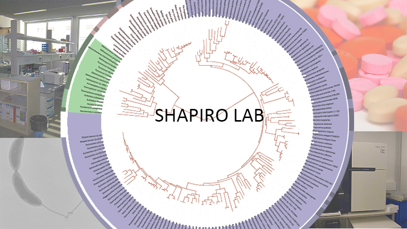 Shapiro Lab