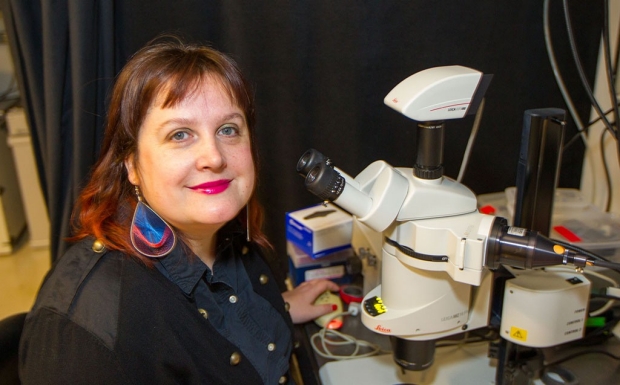 Newly identified method of gene regulation challenges accepted science