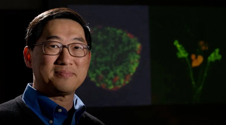 SDRC becomes a NIH diabetes research center