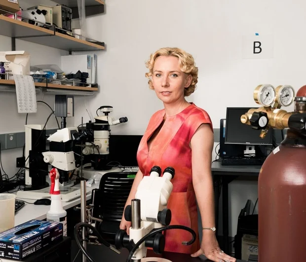 Dynamic DNA dance identified with new CRISPR/Cas9-based labeling