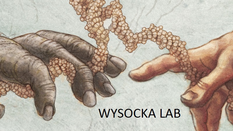 Wysocka Lab