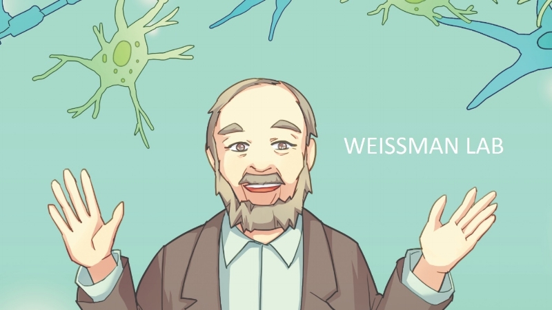 Weissman Lab