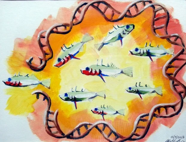 Strength in weakness: Fragile DNA regions key to vertebrate evolution