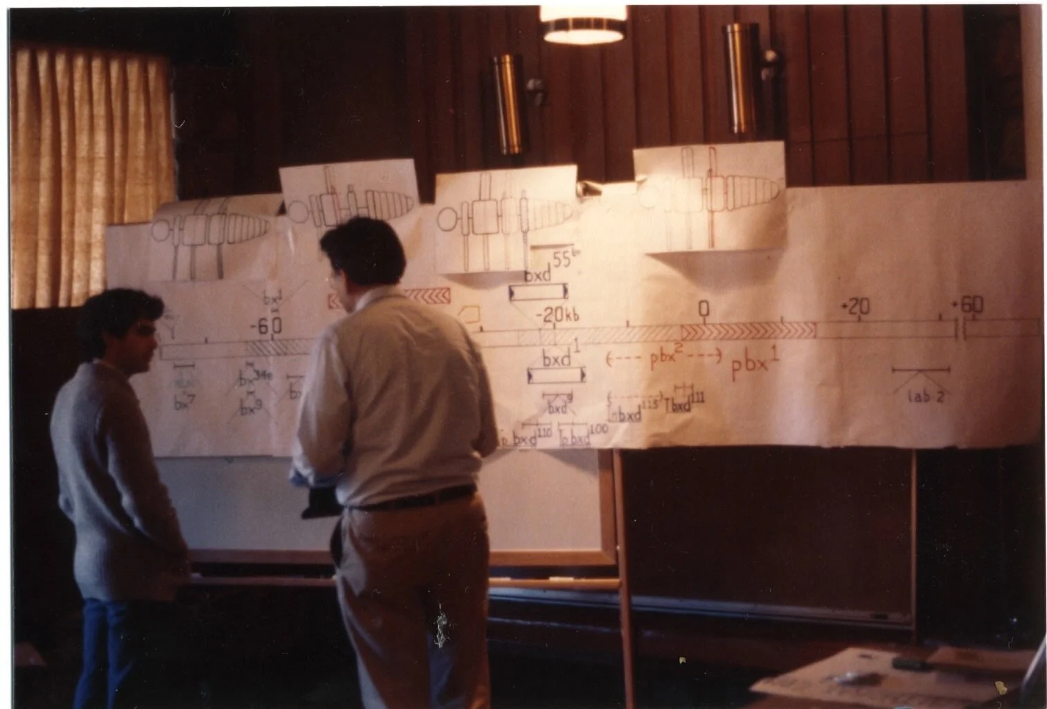 Dave-and-RobertnSaint-looking-at-a-map-of-the-Ubx-walk-region-taken-at-Asilomar-in-1980-or-1981.jpg