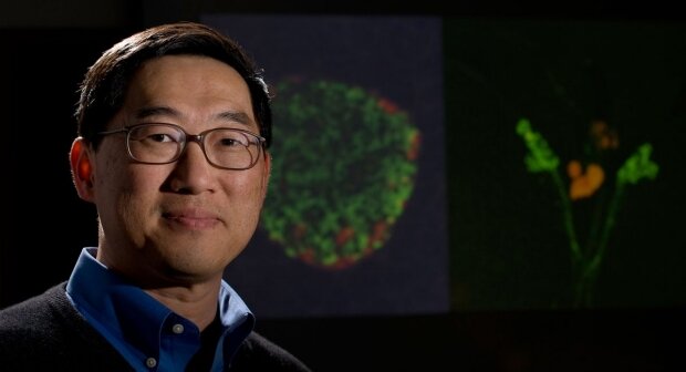 Seung Kim has been elected to the Association of American Physicians