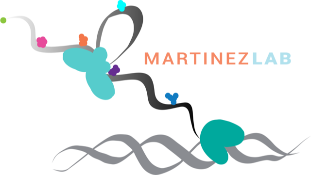 Martinez Lab