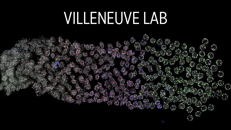 Villeneuve Lab