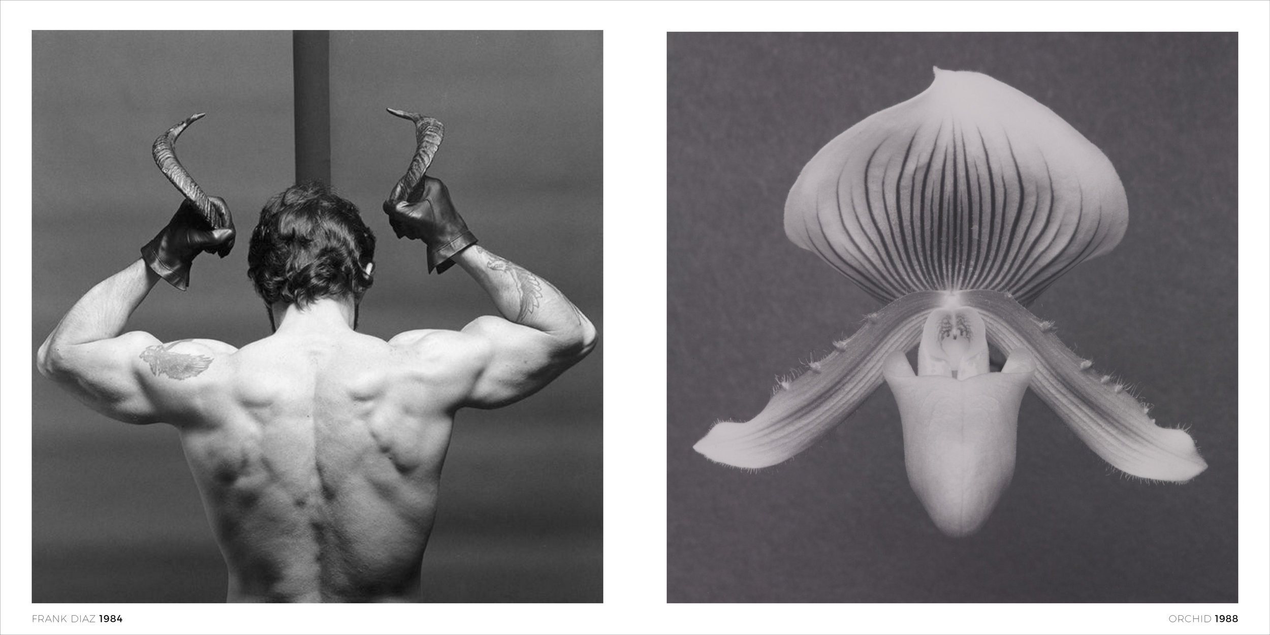 robert_mapplethorpe8.jpg