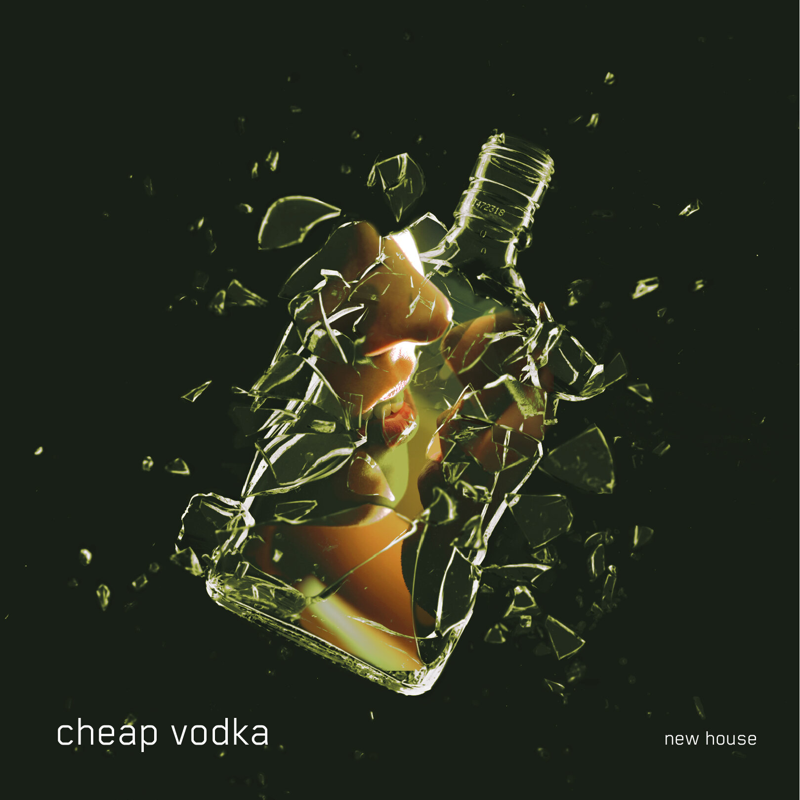 CheapVodka_v2-02.jpg