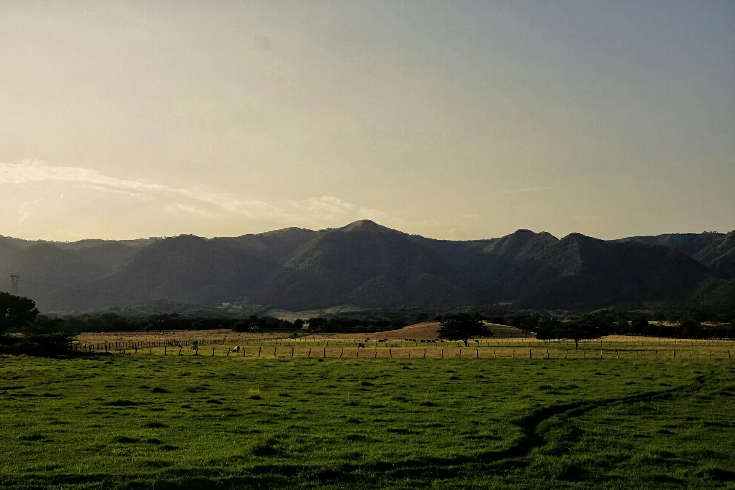 Road view. 