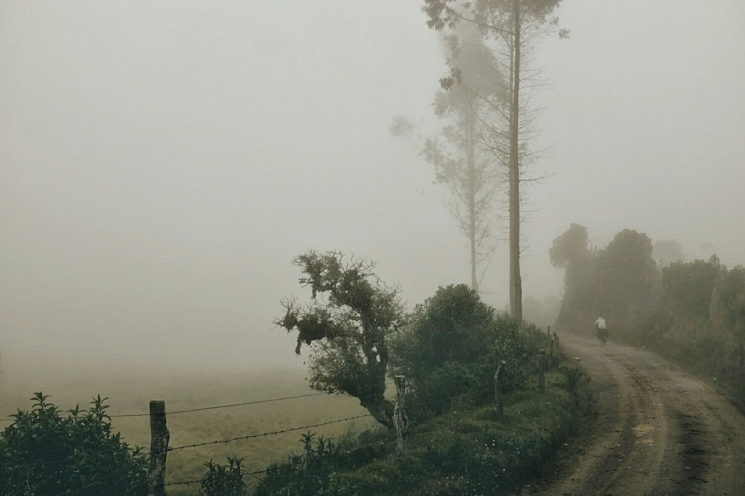 Fog made riding conditions wet and incredibly cold.