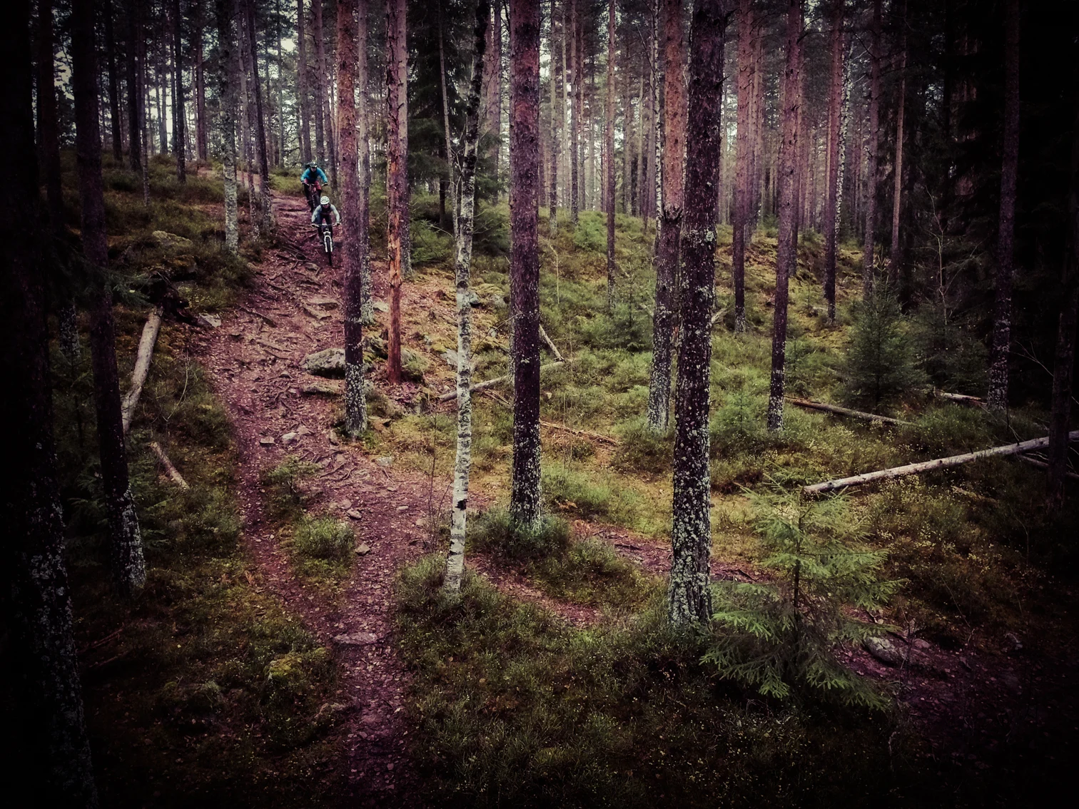 Slippery conditions in Oslo.