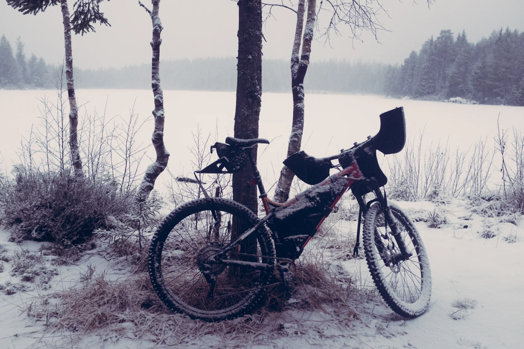 Moff eller muff? Språkforvirringen er total om dagen.