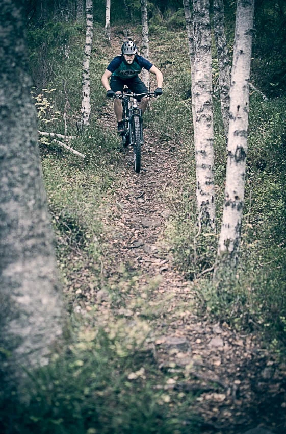 birdbike-1.jpg