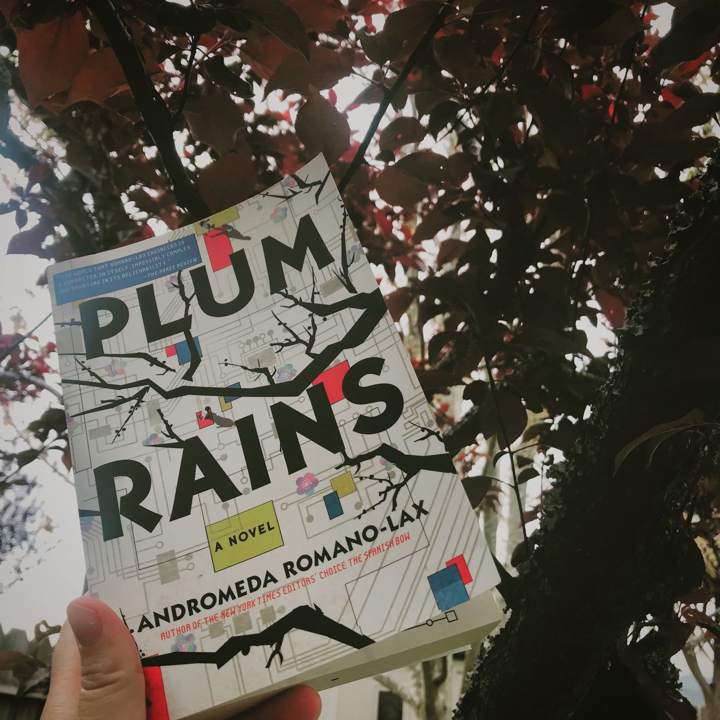 I'd fallen a bit behind in my reading goals over the last two months. I've been looking for the right book to help pull me out of this little reading slump. This one, Plum Rains by Andromeda Romano-Lax and another, that I'll probably finish in the ne
