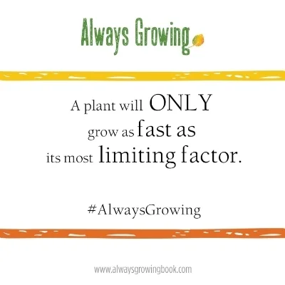 A Plant will Only Grow as Fast.jpg