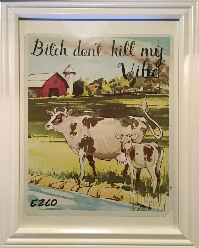 vibe cows.jpg