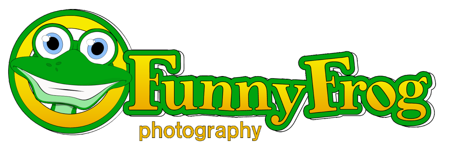 Terms and Conditions — Funny Frog Photography