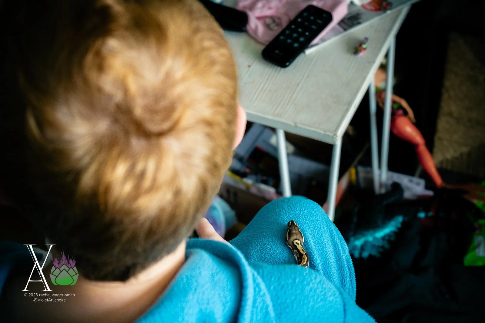 Video Games with a Pet Snake