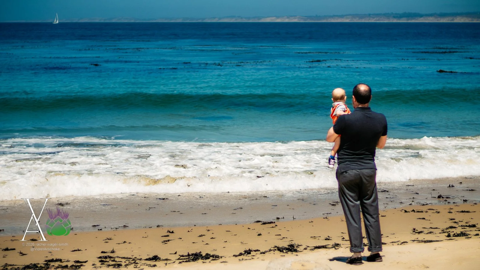 Looking at the Ocean