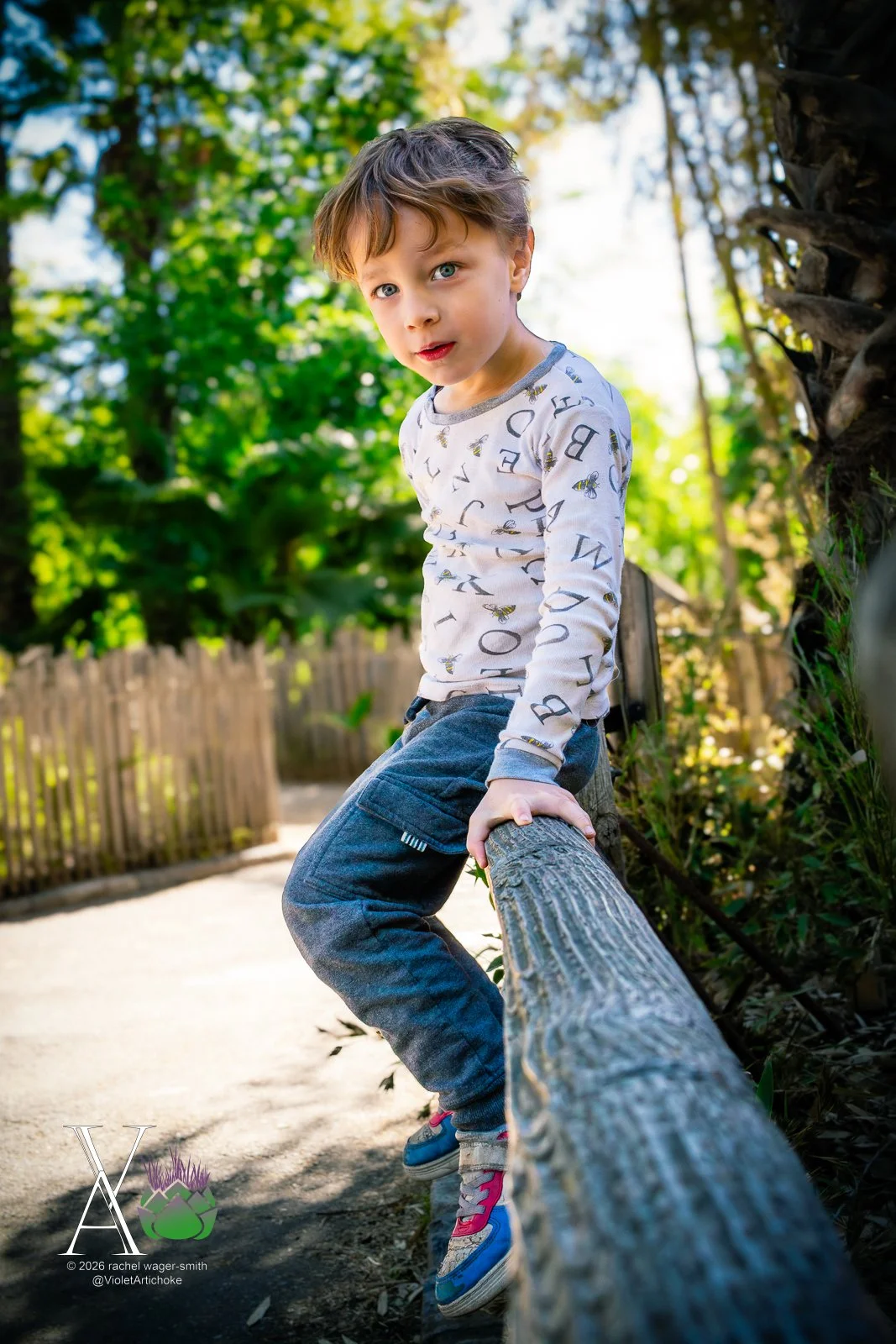Young Boy Sits on a Log Railing