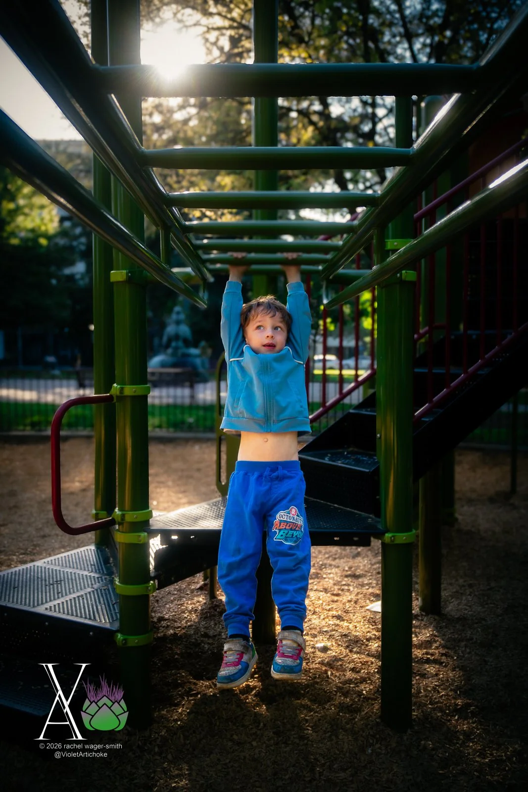 Young Boy on Monkey Bars