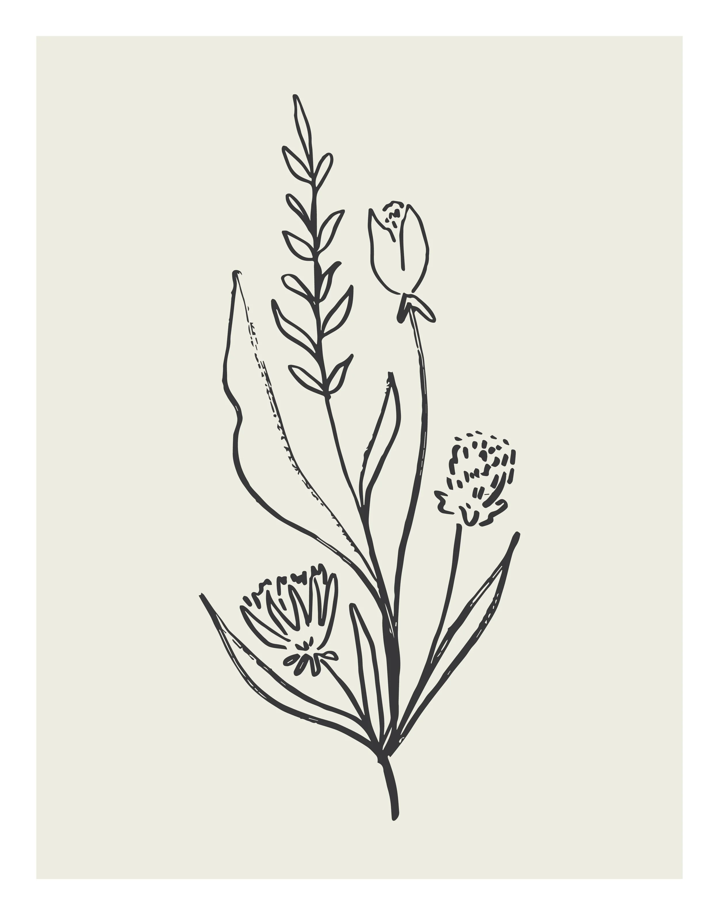 Fall24_SketchFlowers_12.jpg