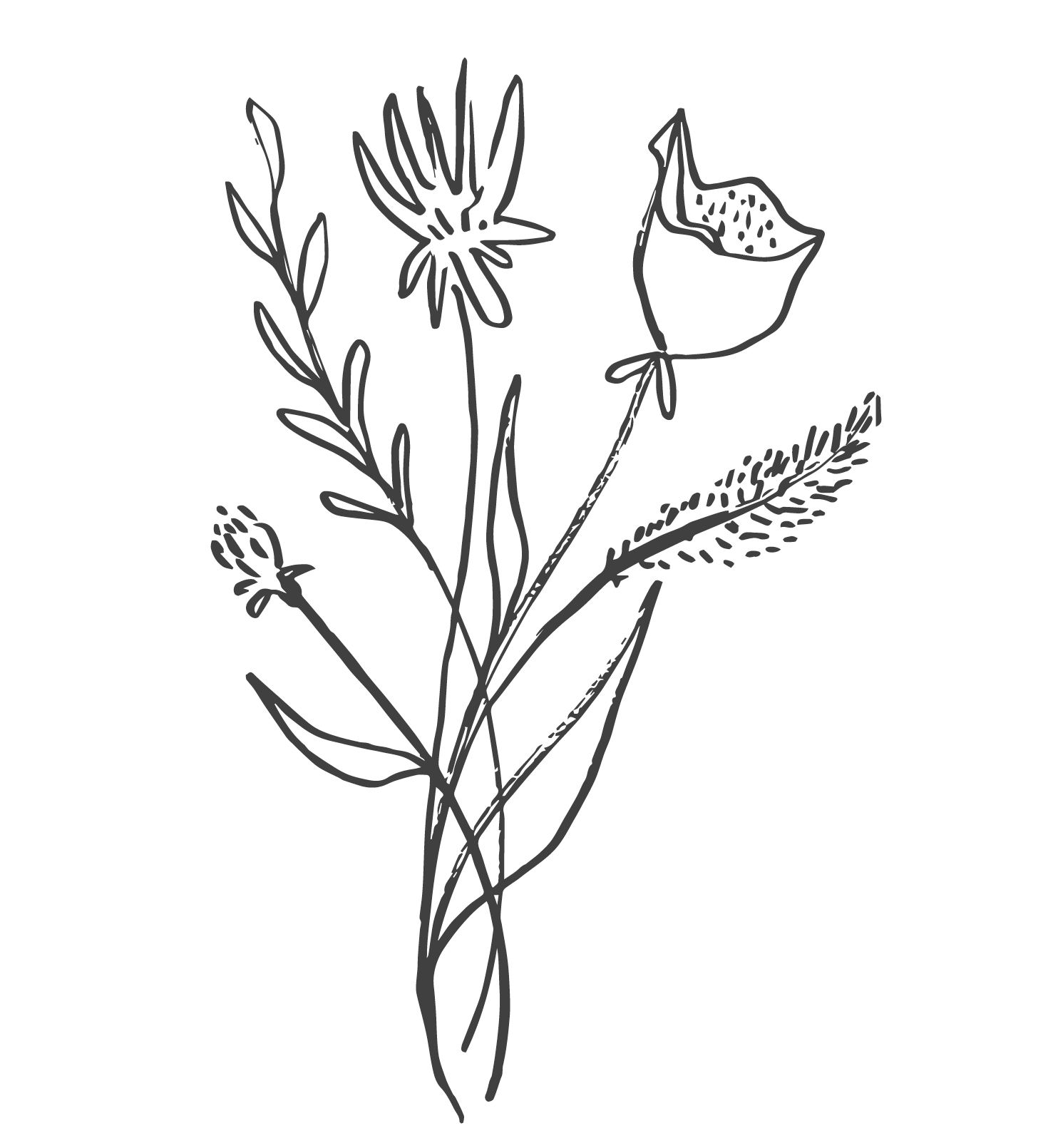 Screen Shot 2023-09-21 at 9.05.26 AM.png