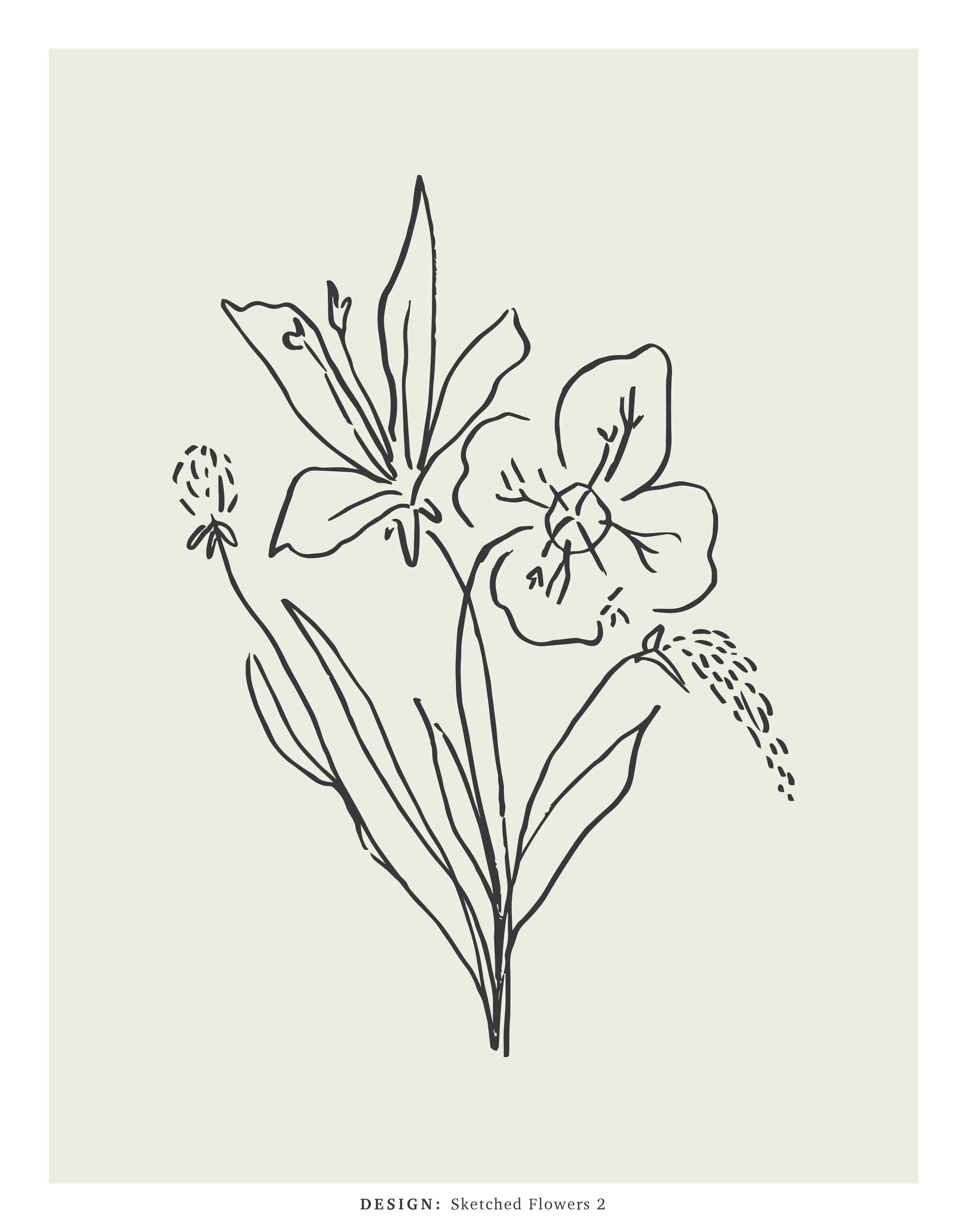 Fall24_11x14_SketchFlowers_2.jpg