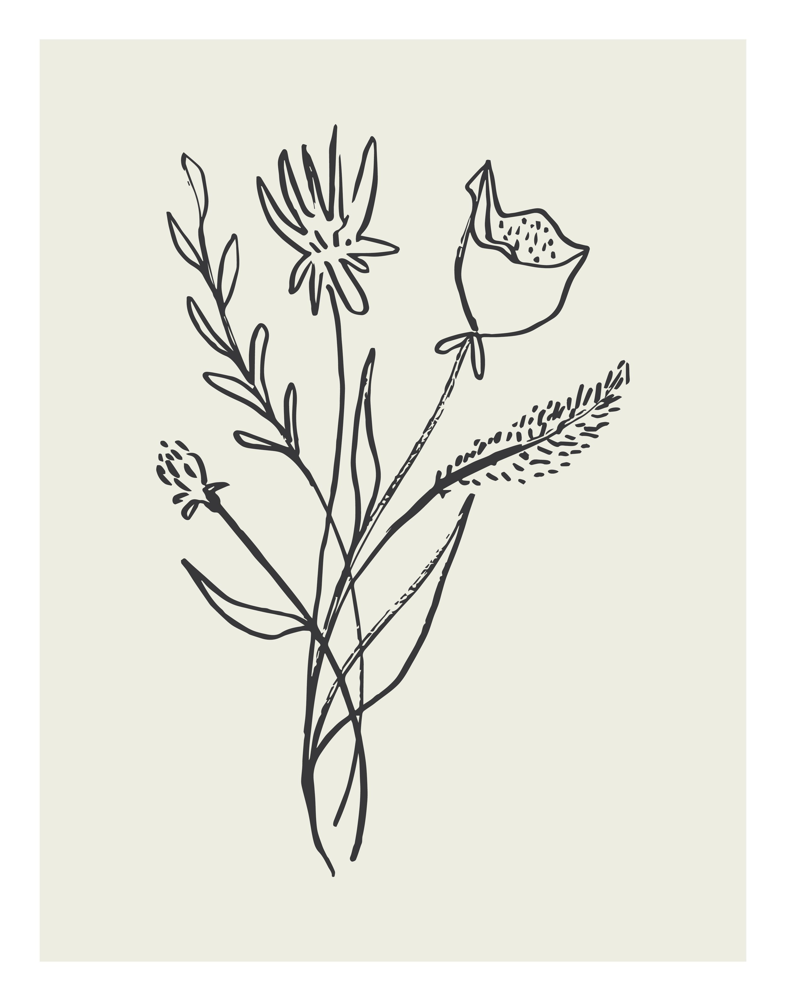 Fall24_SketchFlowers_1.jpg