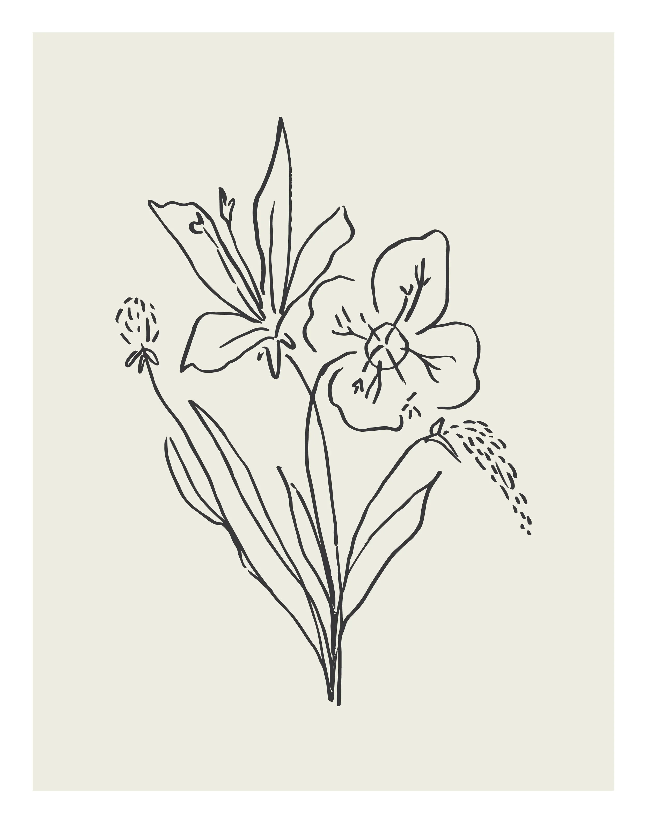 Fall24_SketchFlowers_2.jpg