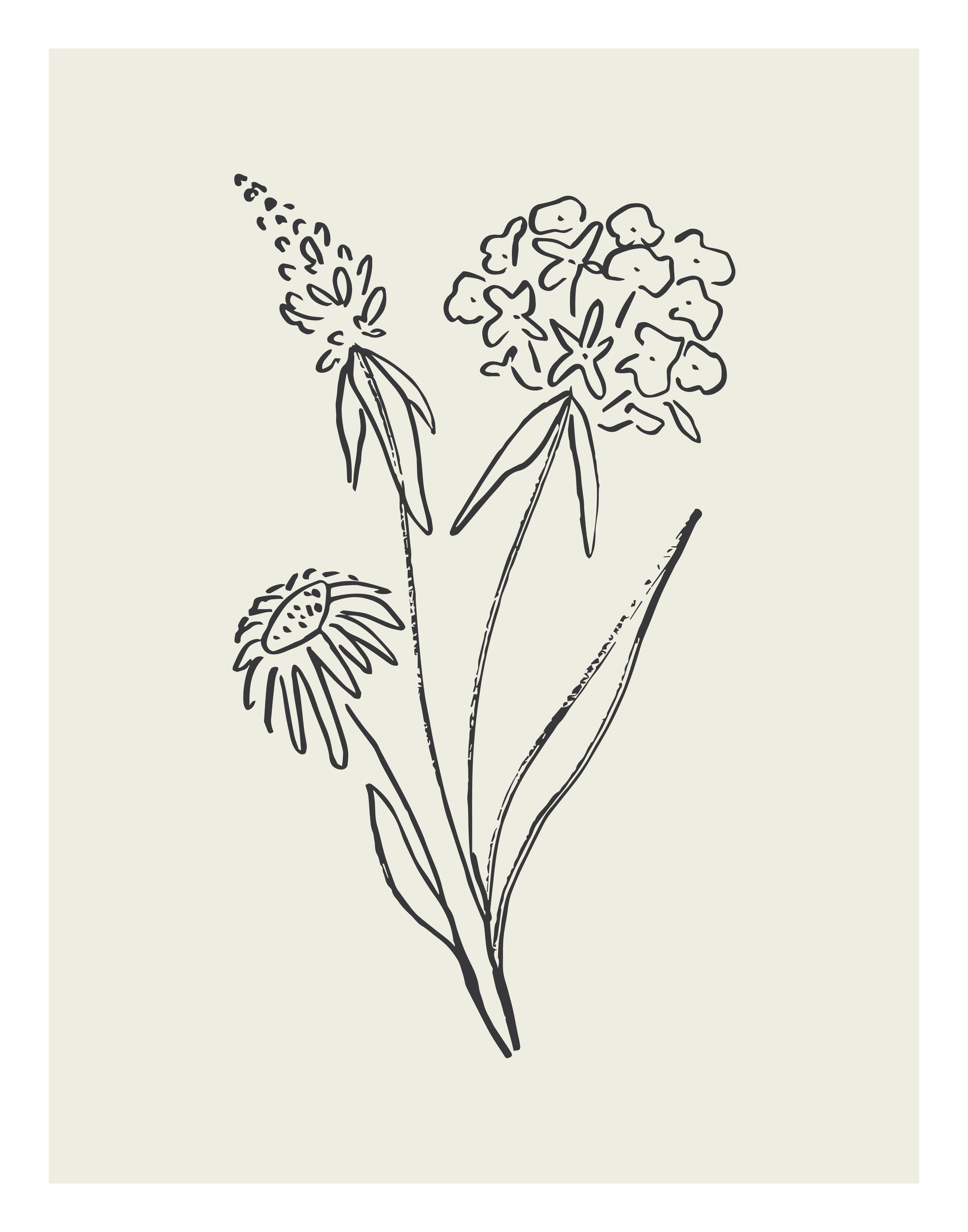 Fall24_SketchFlowers_4.jpg
