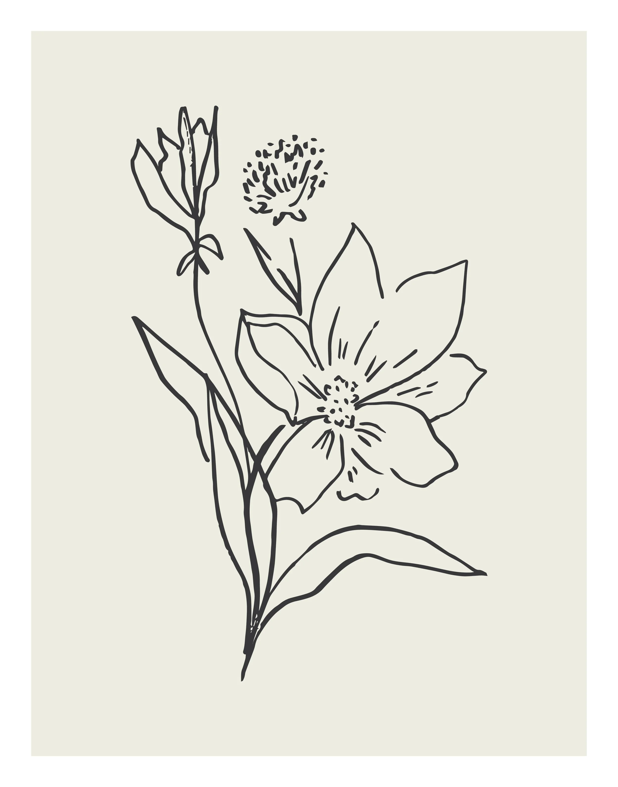 Fall24_SketchFlowers_10.jpg