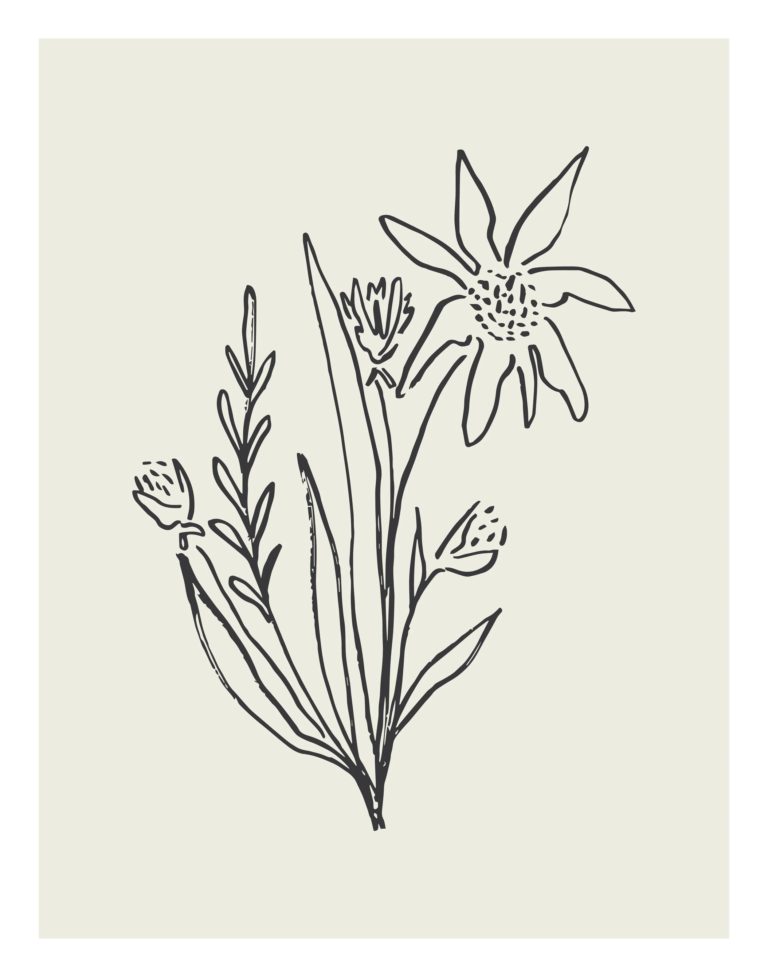 Fall24_SketchFlowers_8.jpg