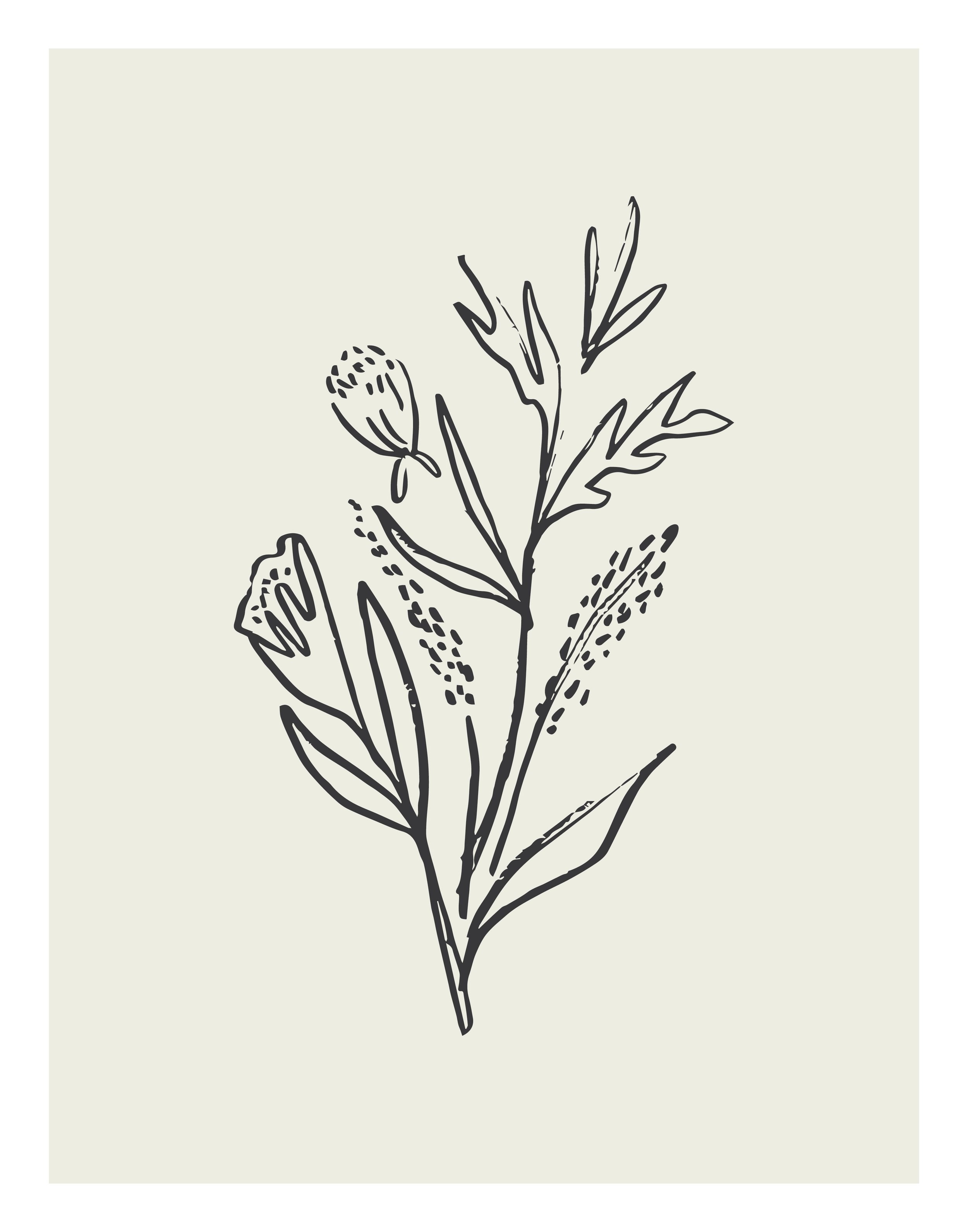 Fall24_SketchFlowers_7.jpg