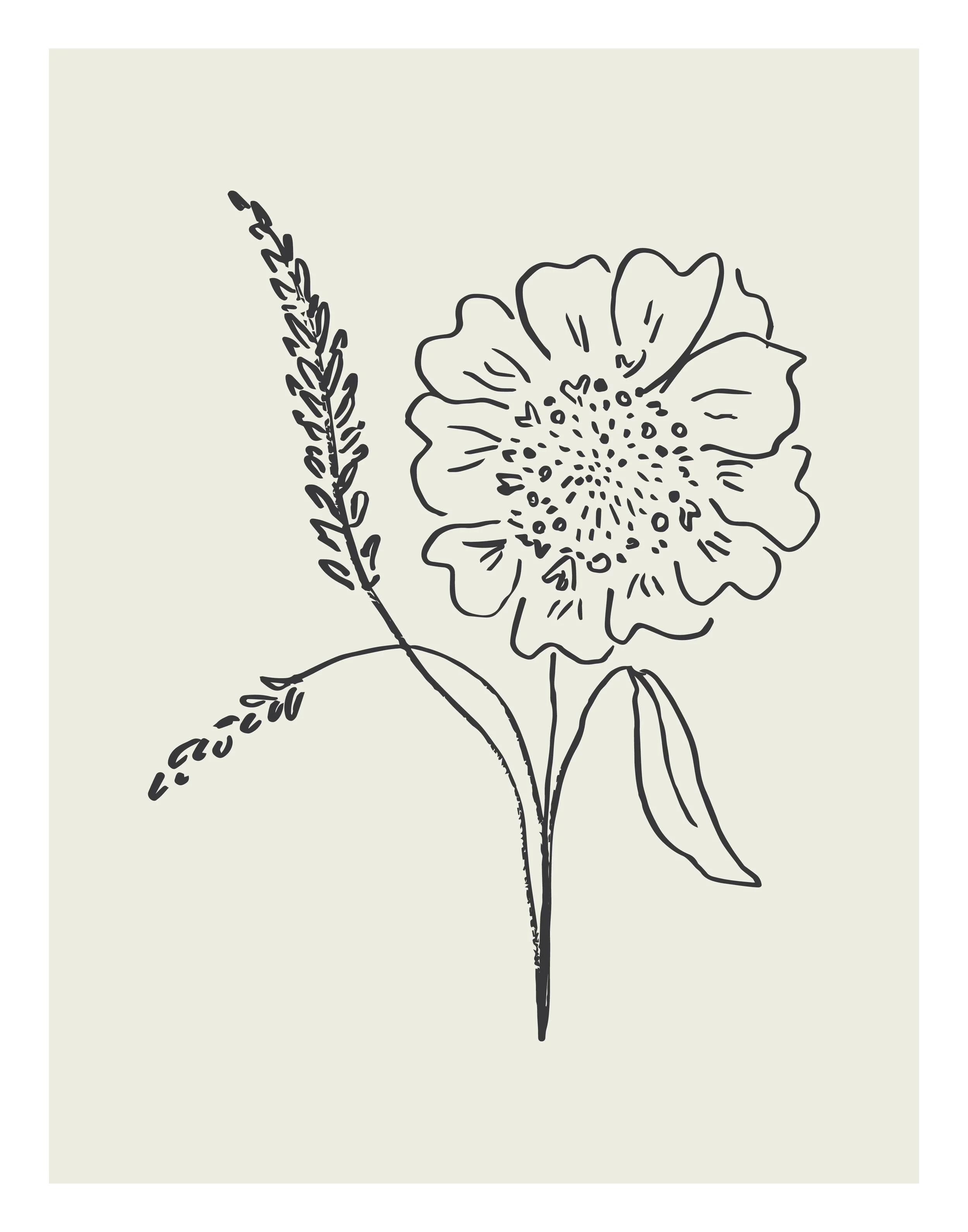 Fall24_SketchFlowers_6.jpg