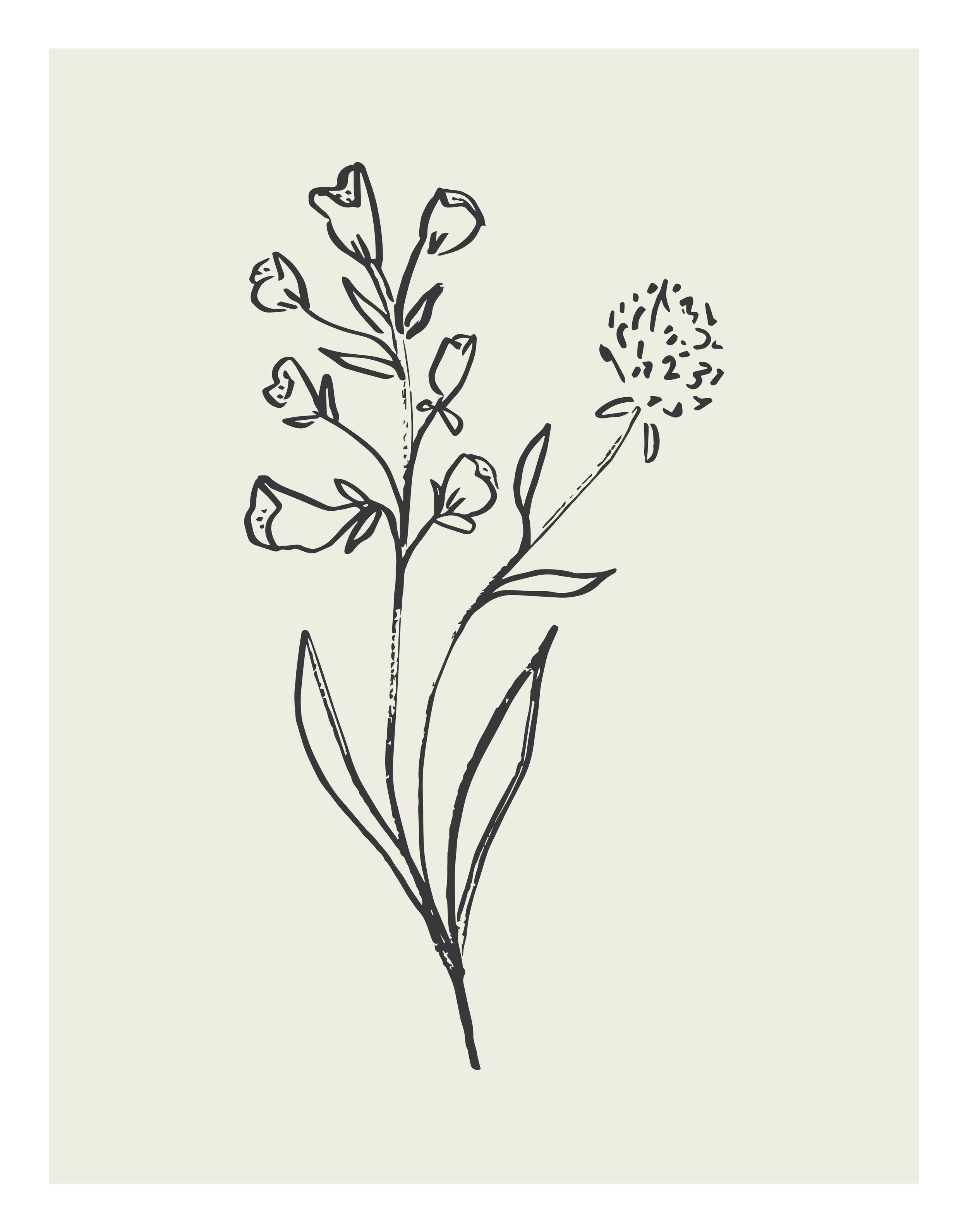 Fall24_SketchFlowers_9.jpg