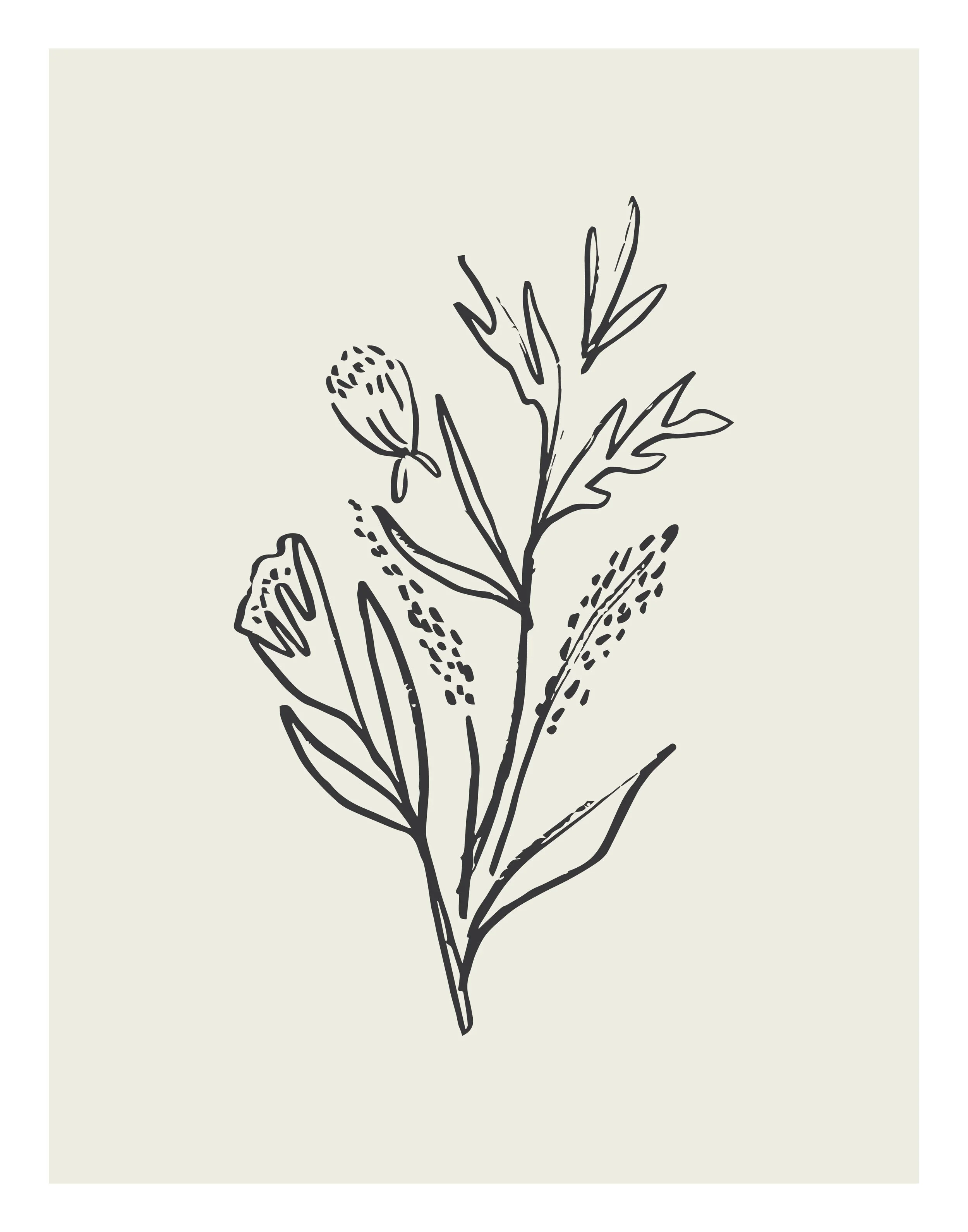 Fall24_SketchFlowers_7.jpg