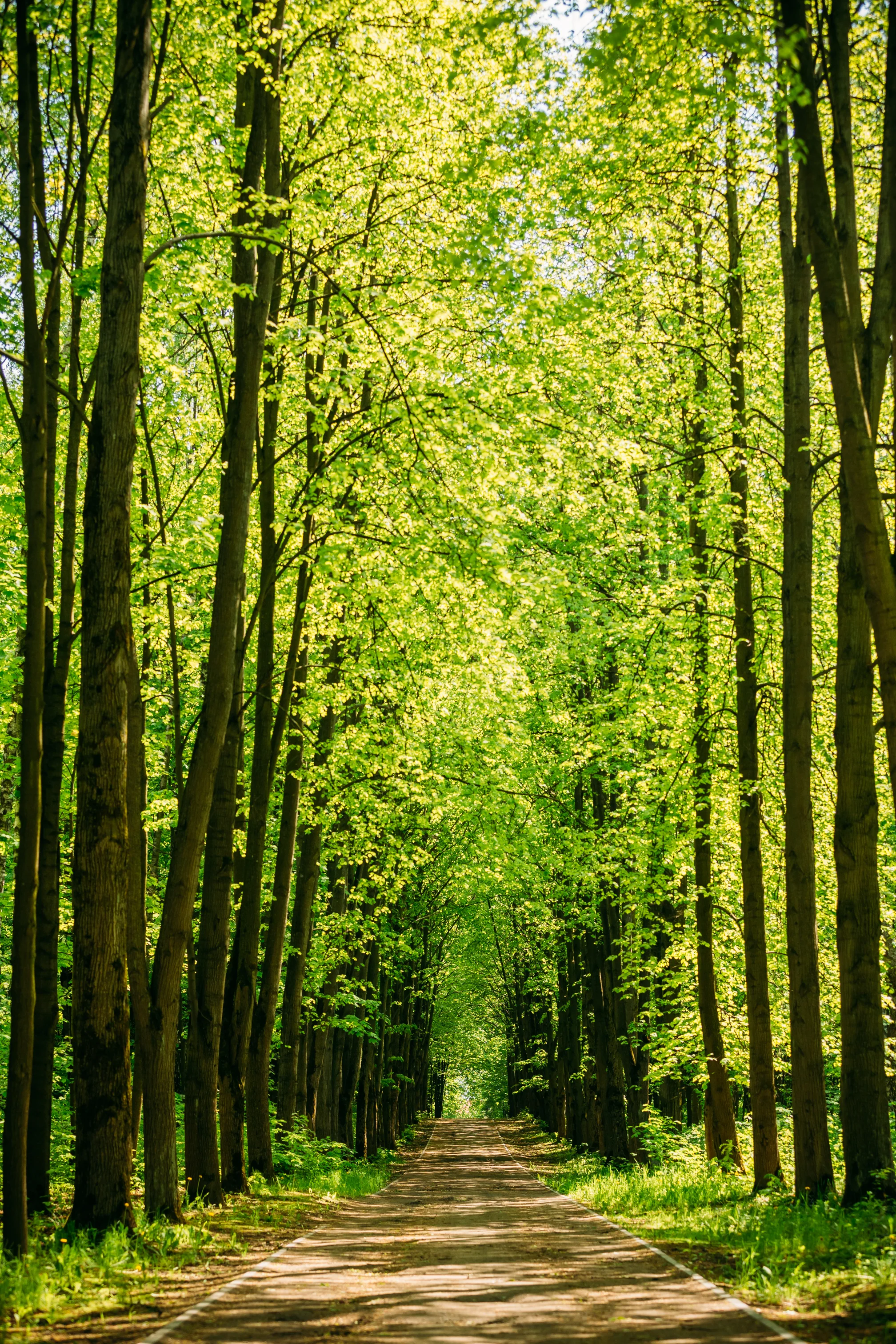 iStock_83061359_LARGE.jpg