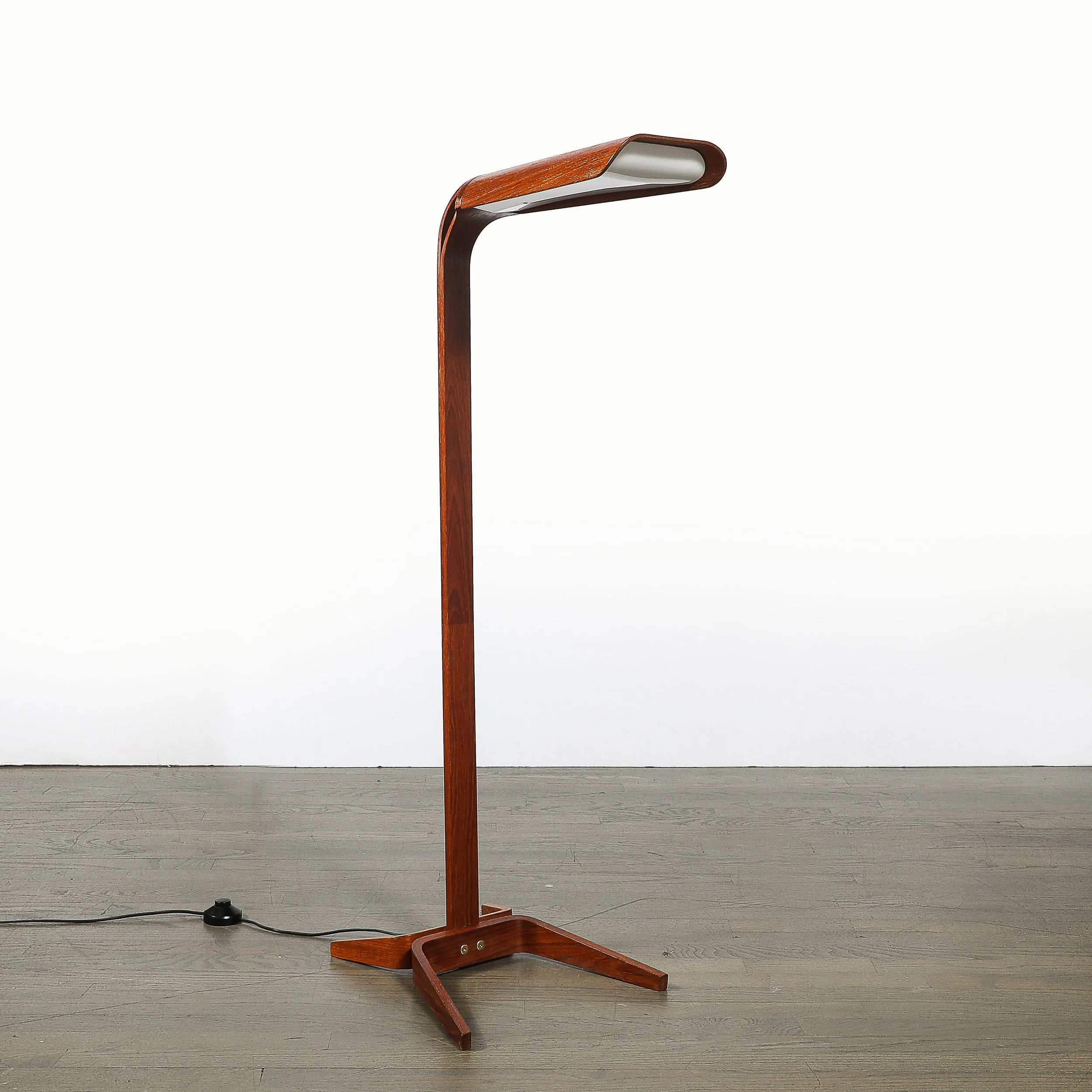 Mid-Century Modernist Teak Bentwood Sculptural Floor Lamp with Diffuser — image 3