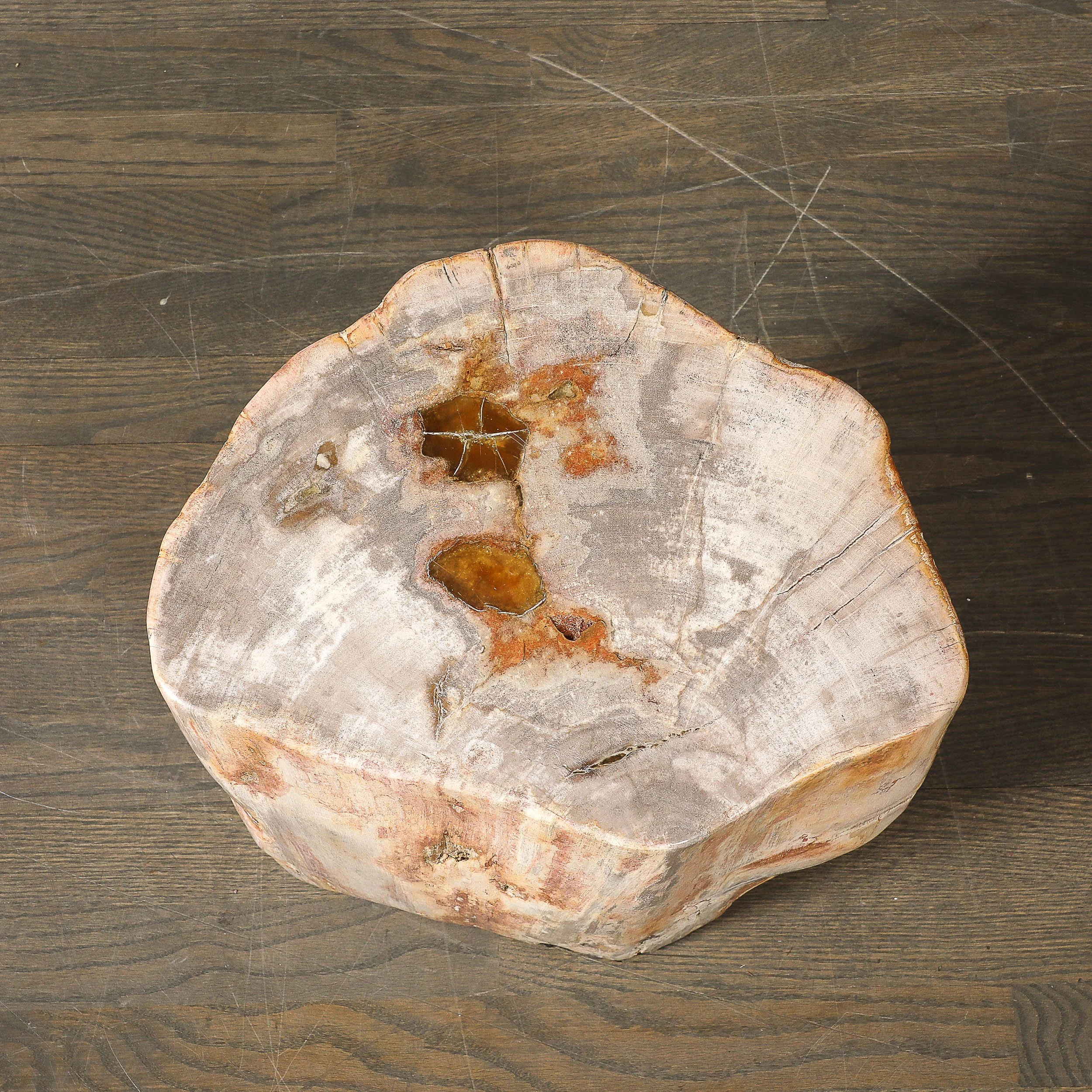 Polished Petrified Wood Side Table/Stool w/ Agate Inclusions & Natural Graining — image 2