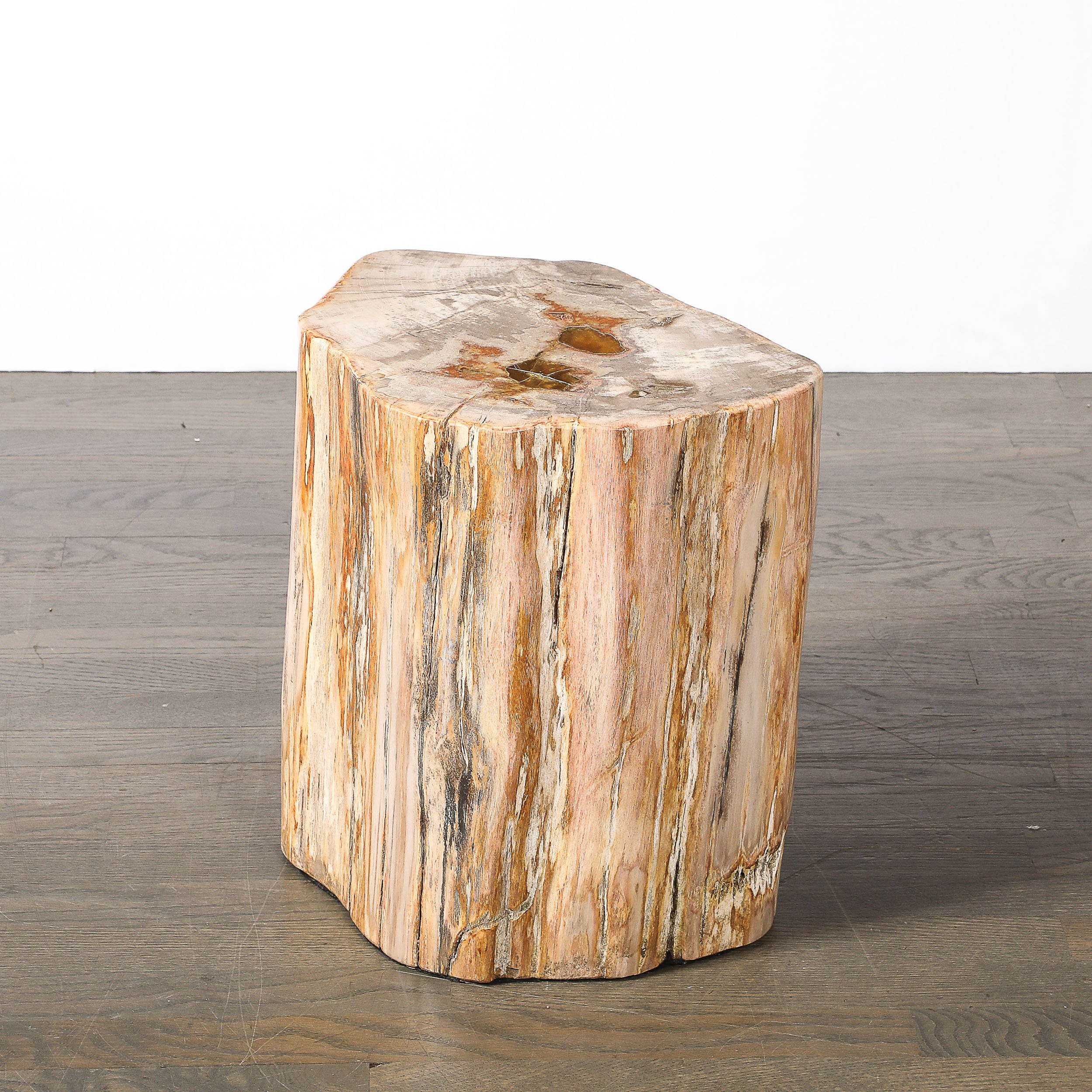 Polished Petrified Wood Side Table/Stool w/ Agate Inclusions & Natural Graining — image 5