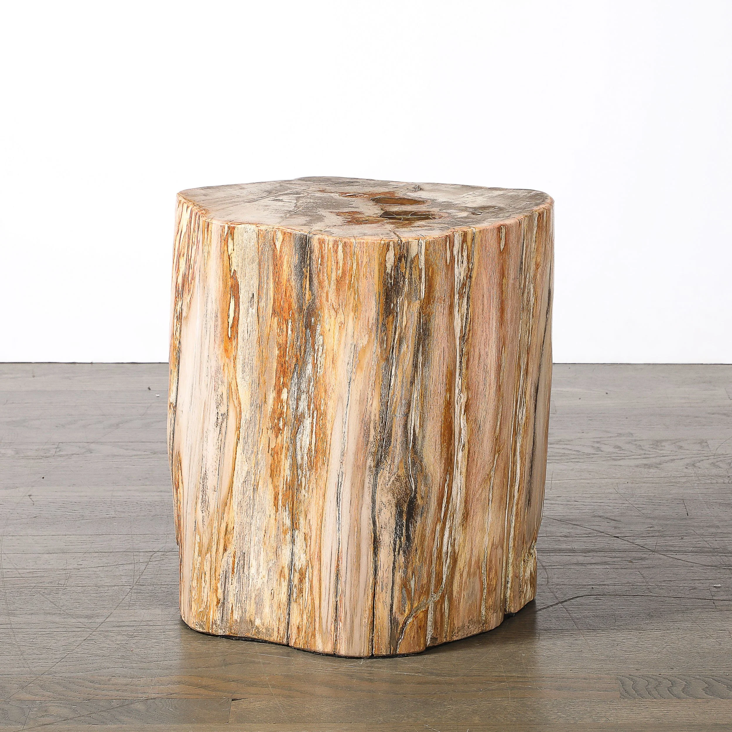 Polished Petrified Wood Side Table/Stool w/ Agate Inclusions & Natural Graining — image 6