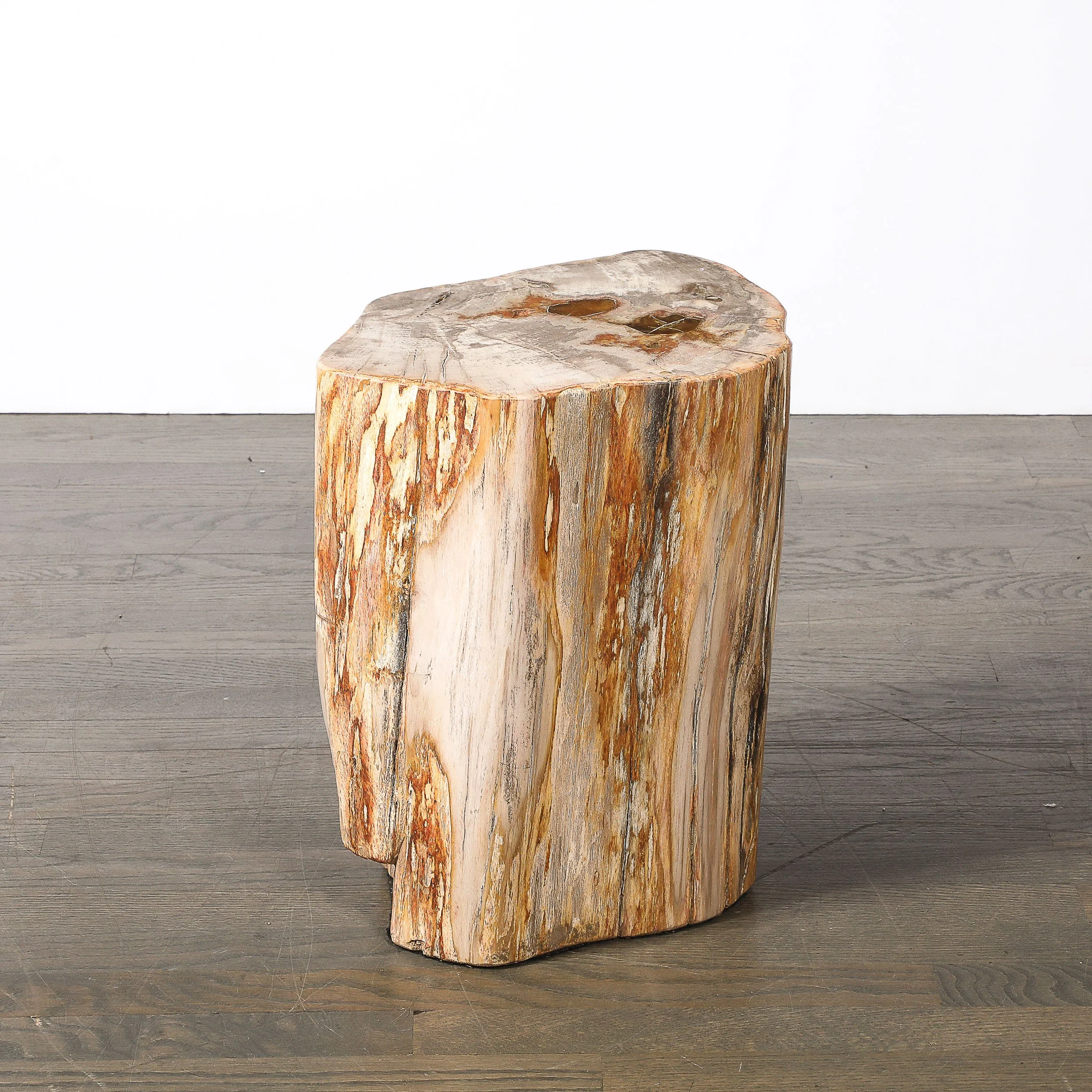 Polished Petrified Wood Side Table/Stool w/ Agate Inclusions & Natural Graining — image 7
