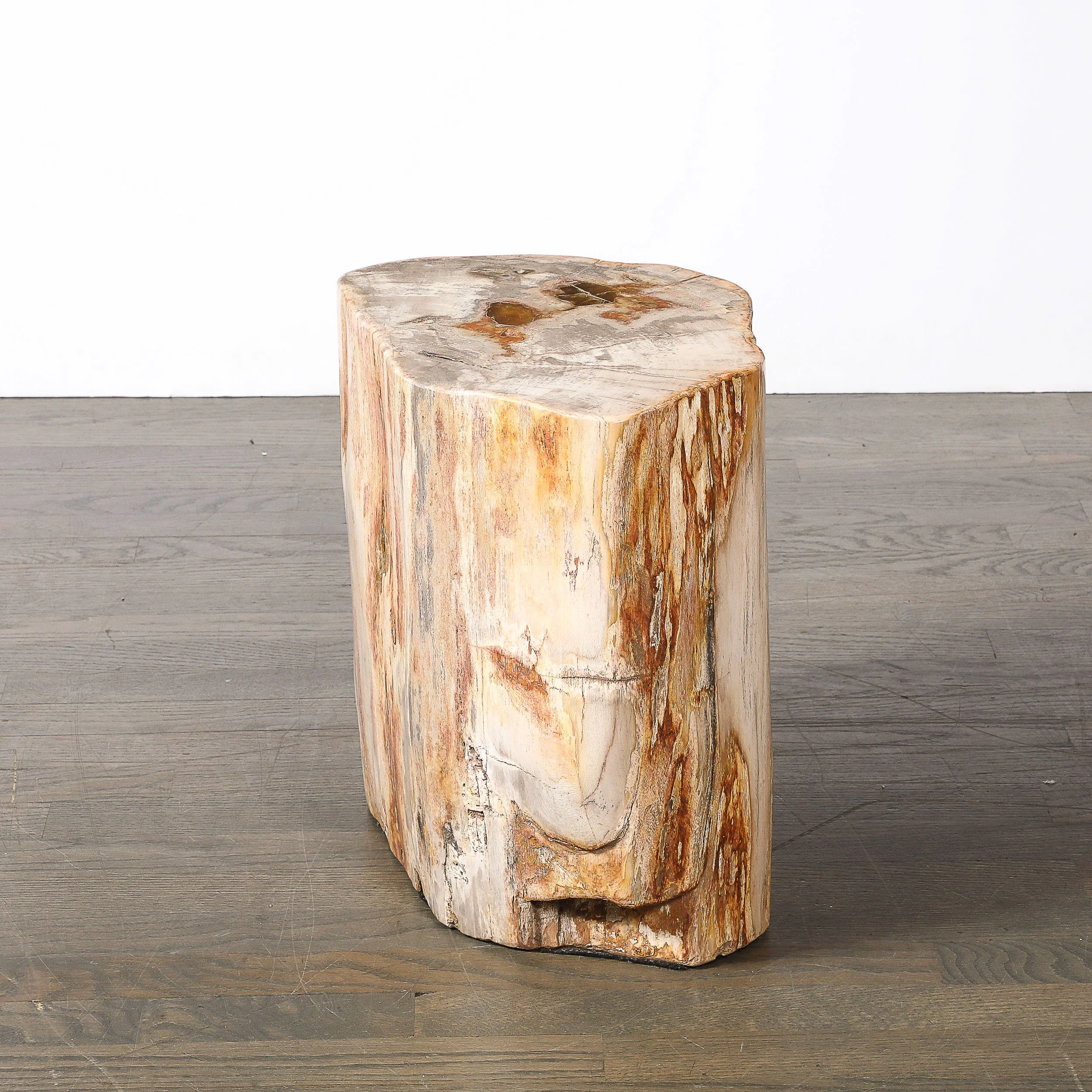 Polished Petrified Wood Side Table/Stool w/ Agate Inclusions & Natural Graining — image 8